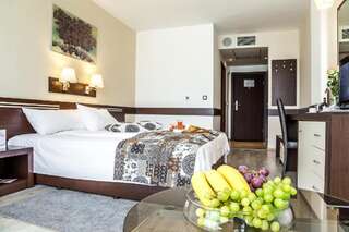 Отель Grami Hotel Sofia София Стандартный двухместный номер с 1 кроватью-7